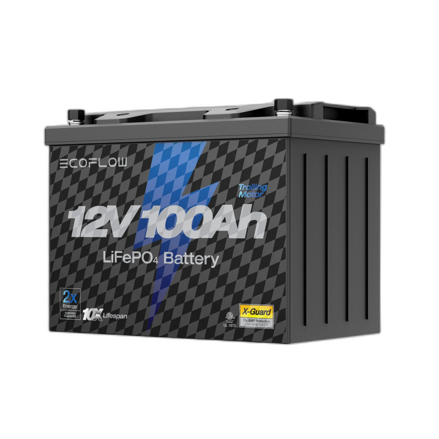 EcoFlow 12V 100Ah LiFePO4 Battery
