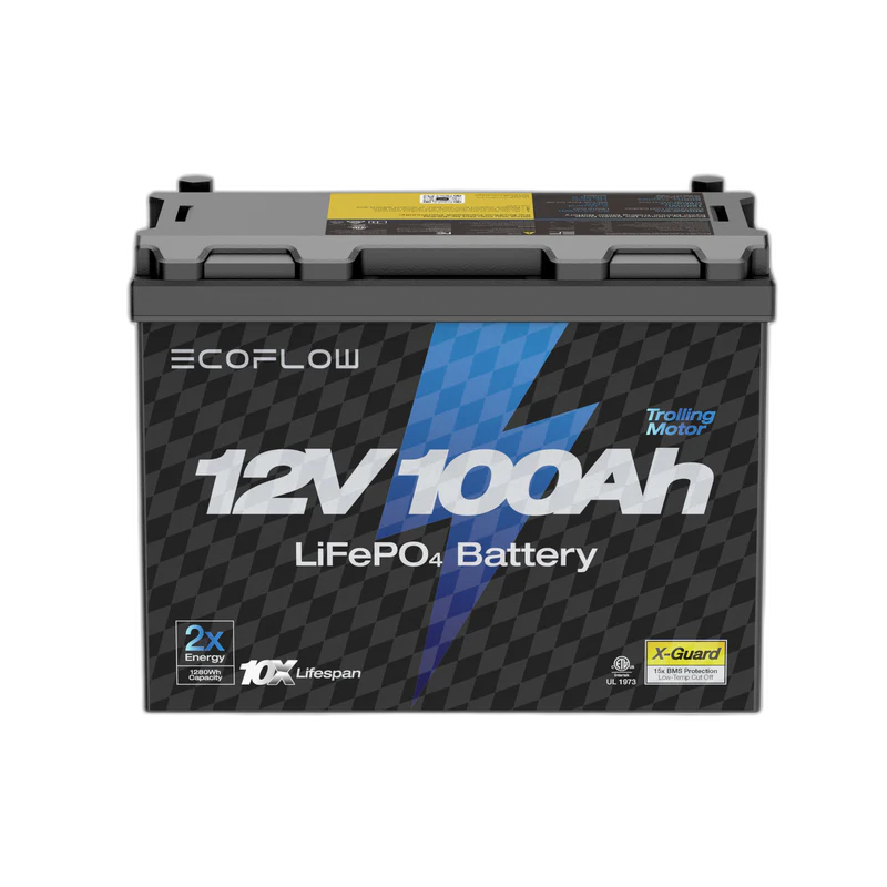 EcoFlow 12V 100Ah LiFePO4 Battery