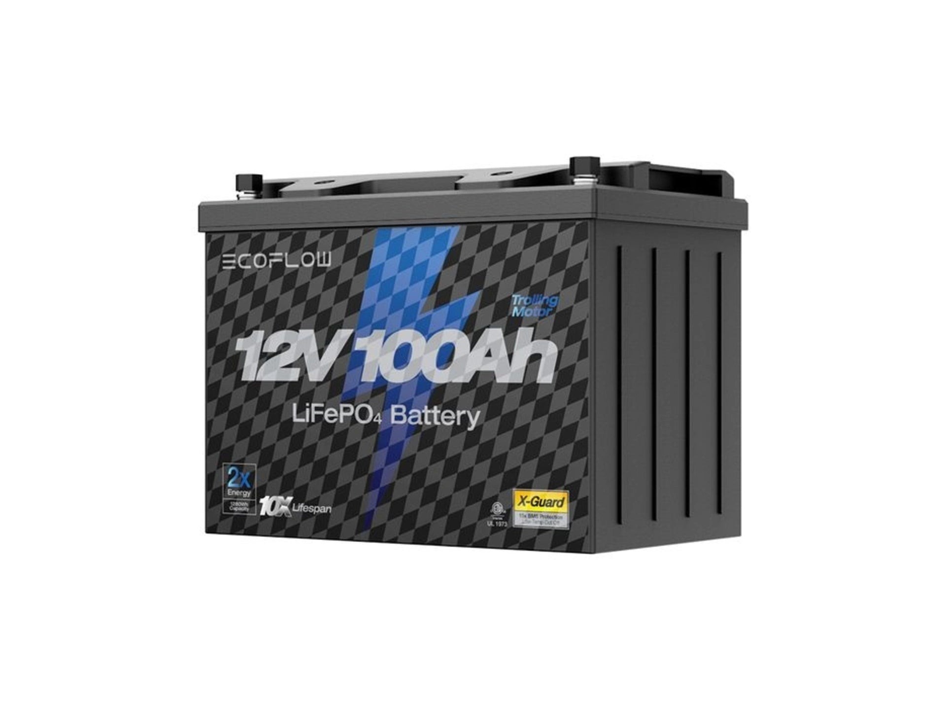 EcoFlow 12V 100Ah LiFePO4 Battery