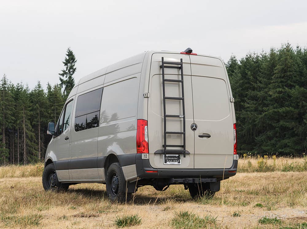Rear Door Ladders