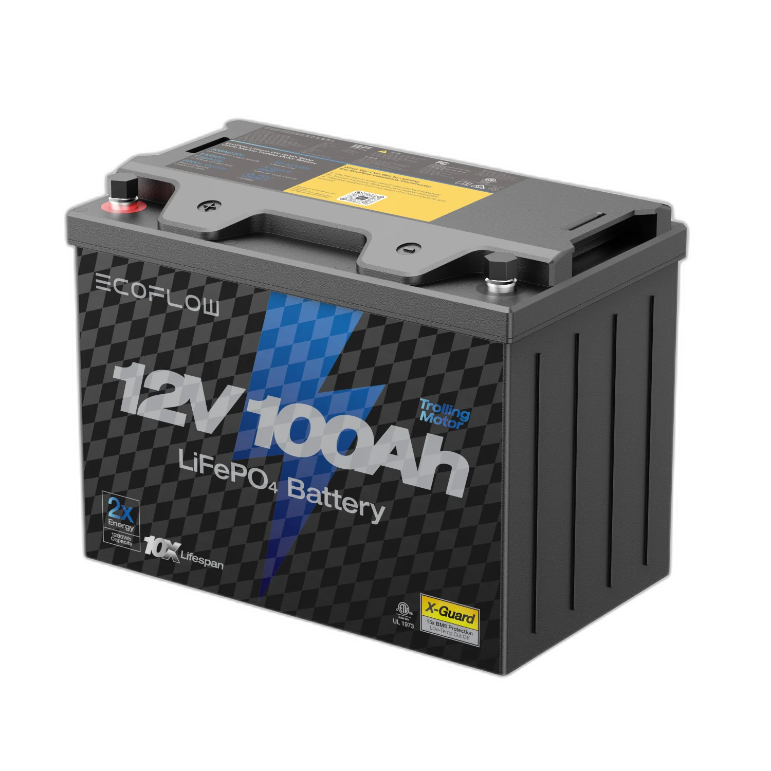 EcoFlow 12V 100Ah LiFePO4 Battery