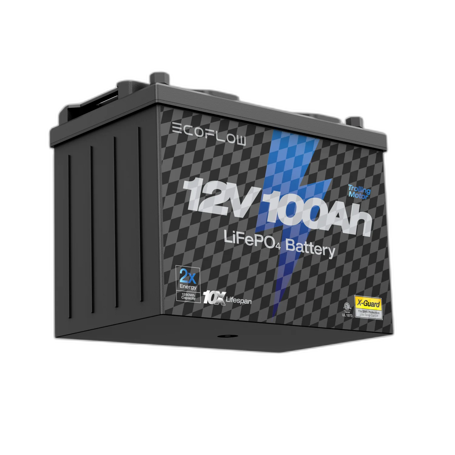 EcoFlow 12V 100Ah LiFePO4 Battery