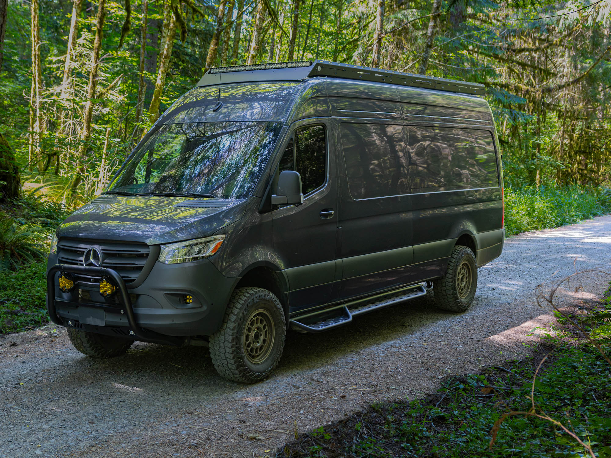 Sprinter aluminum side steps 170 driver side