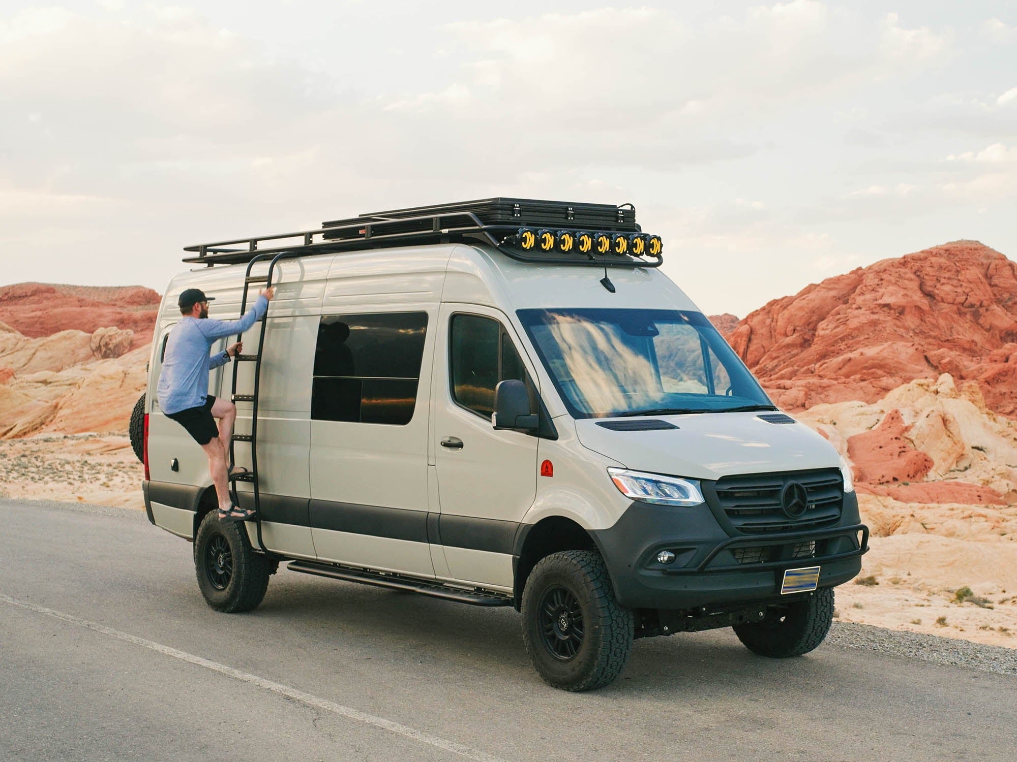 Sprinter Van Apex Side Ladder